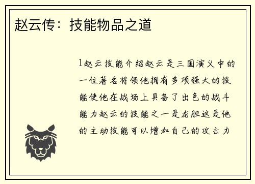 赵云传：技能物品之道